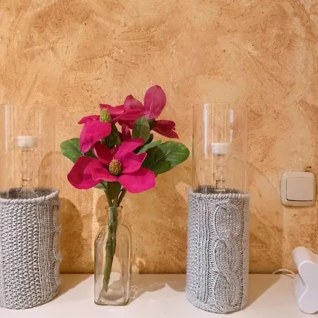 Apartamento Biarritz Piso Acogedor Con Wifi